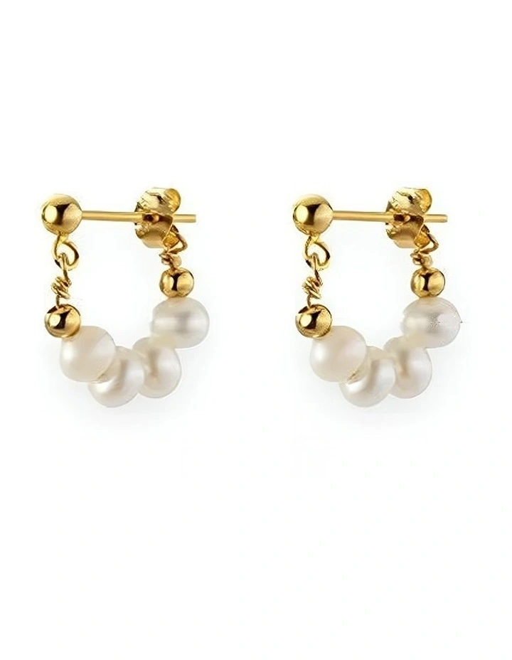 925 Sterling Silver Fashion Earrings in Gold image 1