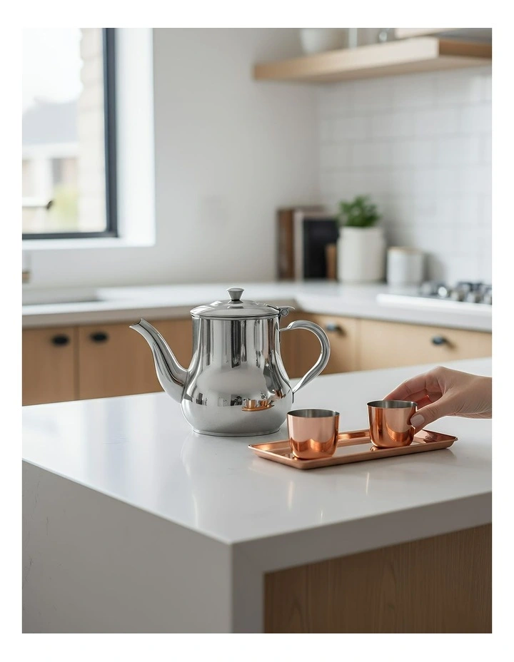 Anygleam Teapot Silver Stainless Steel with Filter for Coffee, Tea, Oil and Liquid Seasonings Container Kettle image 2