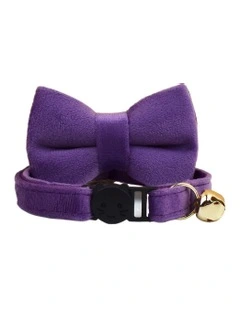 Pet Collar in Violet