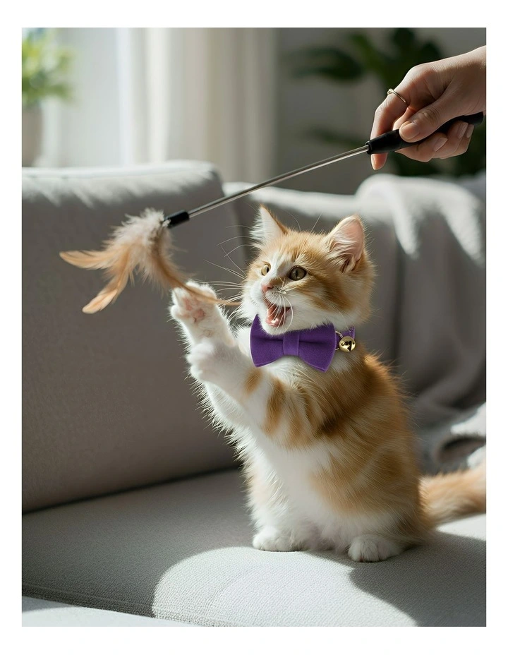 Pet Collar in Violet image 2