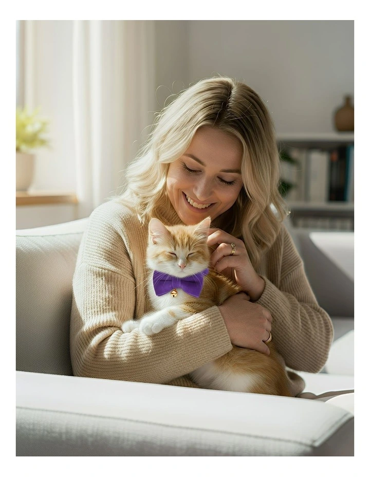 Pet Collar in Violet image 3