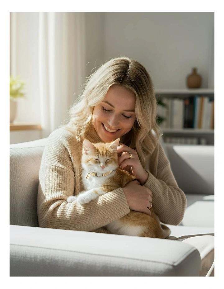 Pet Collar in Brown image 4