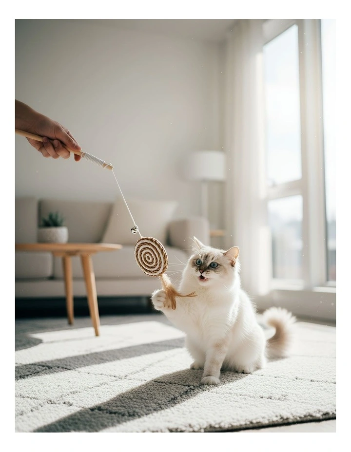 Catcher Stick Wood Round Ball Interactive Accessories in Brown image 2