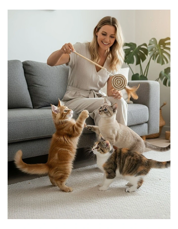 Catcher Stick Wood Round Ball Interactive Accessories in Brown image 3