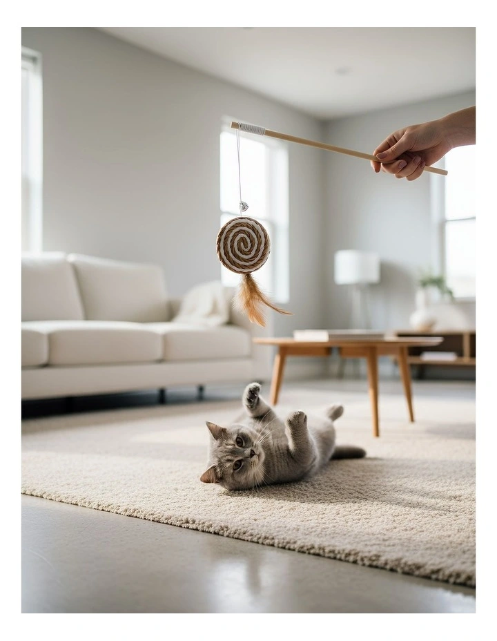 Catcher Stick Wood Round Ball Interactive Accessories in Brown image 4