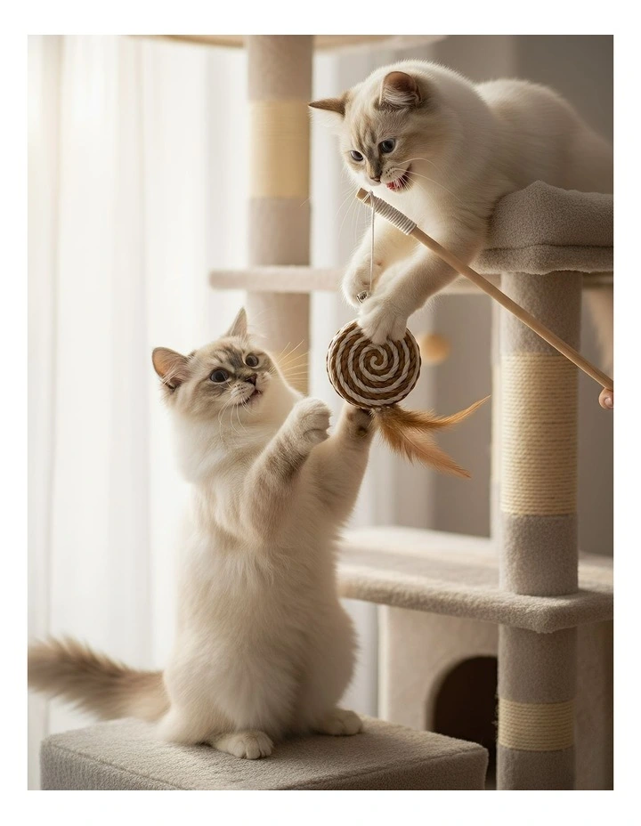 Catcher Stick Wood Round Ball Interactive Accessories in Brown image 5