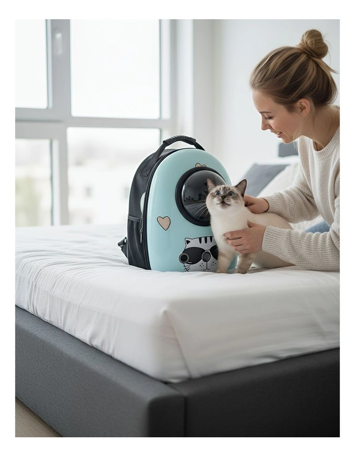 Pet Carrier in Blue image 2