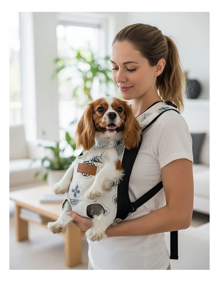 Pet Carrier Small Breathable Travel Backpack in Grey image 2
