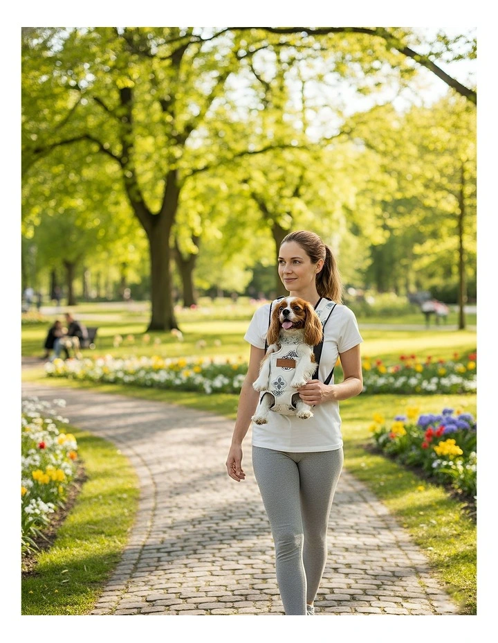Pet Carrier Small Breathable Travel Backpack in Grey image 3