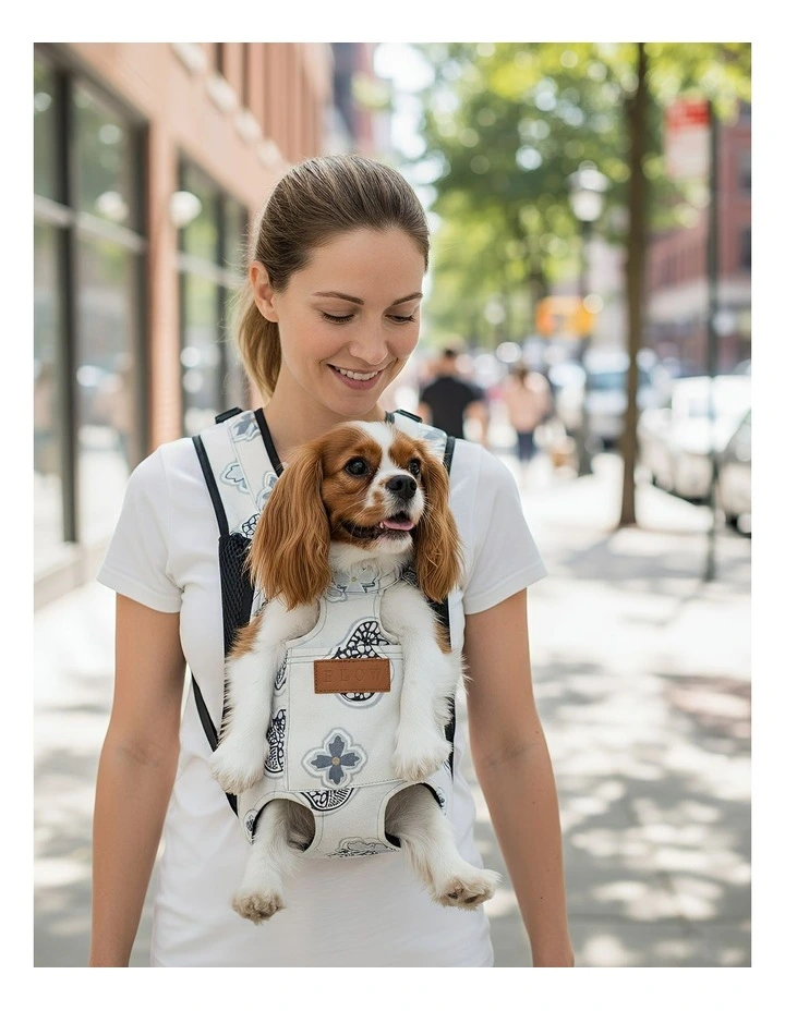 Pet Carrier Small Breathable Travel Backpack in Grey image 5