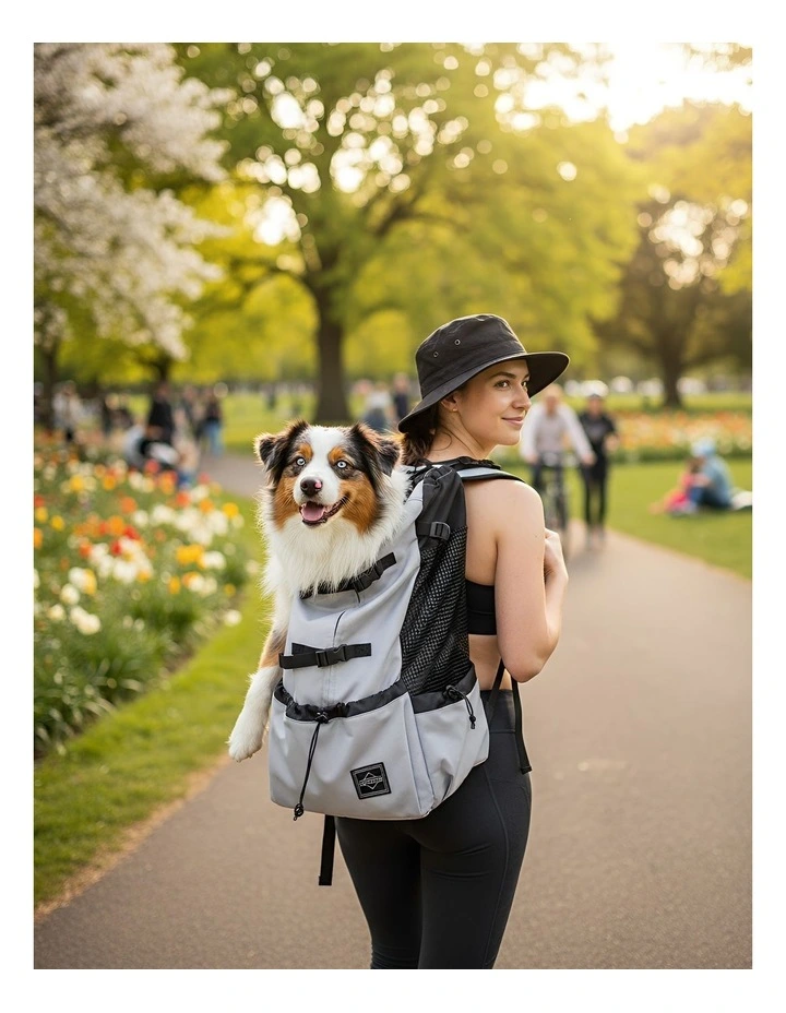 Pet Carrier XL Travel Riding Backpack in Grey image 3