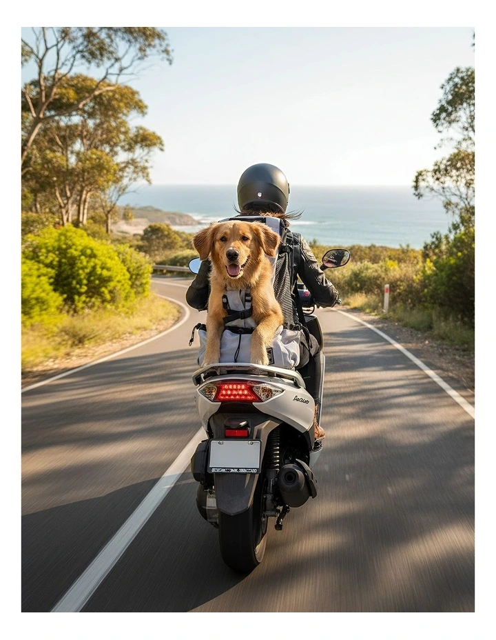 Pet Carrier XL Travel Riding Backpack in Grey image 5