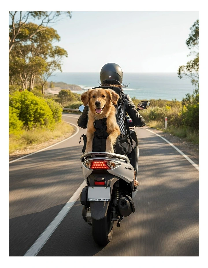 Pet Carrier XL Driving Backpack in Black image 5