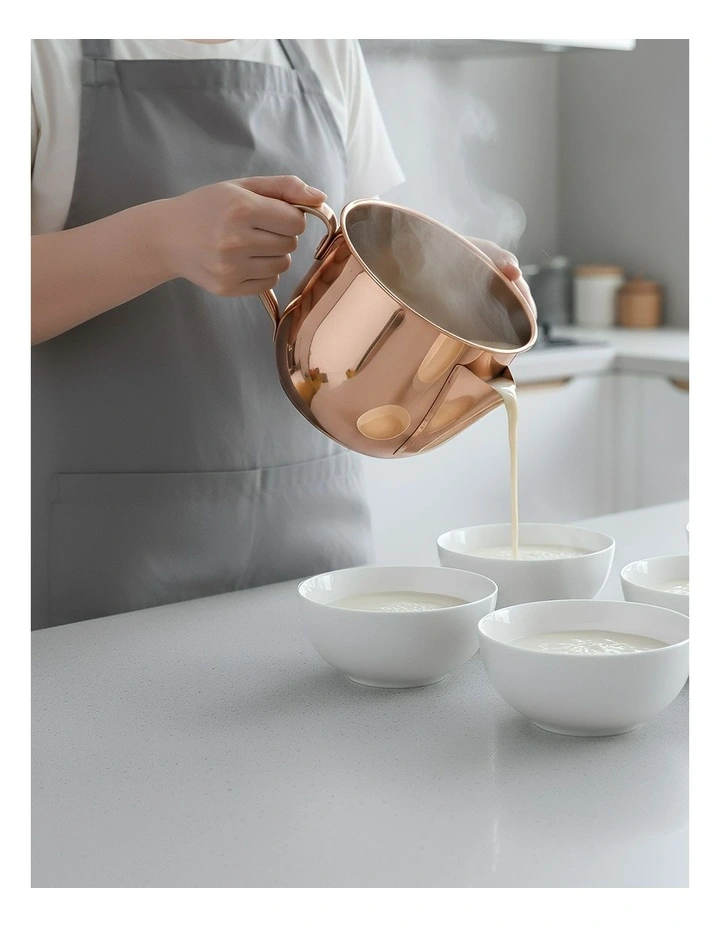 Stainless Steel Stock Pot Hot Pot Set Of 2 Pieces in Silver image 4