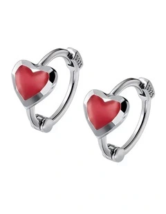 Fashion Earrings in Silver