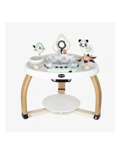Black & White Stationary Activity Centre