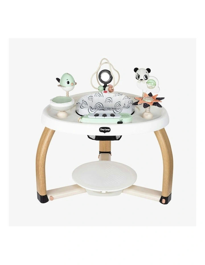 Black & White Stationary Activity Centre image 1