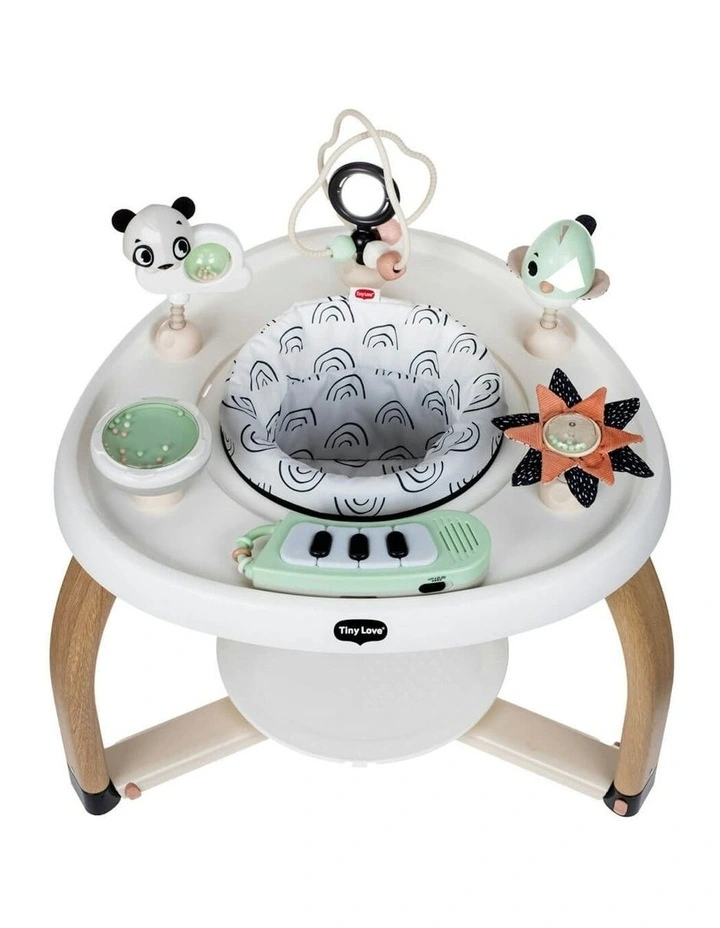 Black & White Stationary Activity Centre image 2