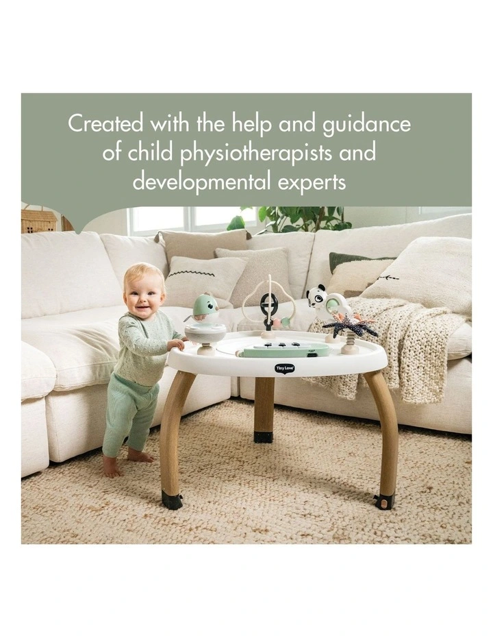 Stationary Activity Centre image 5