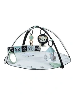 B&W Decor Developmental Gymini