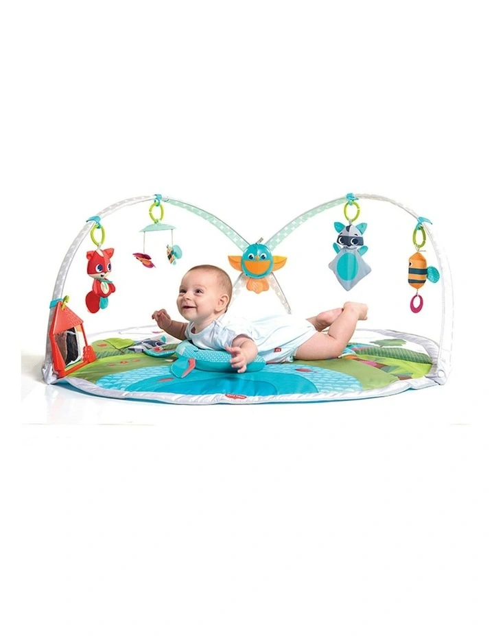 Baby Playmat Meadow Days Dynamic Gymini image 2