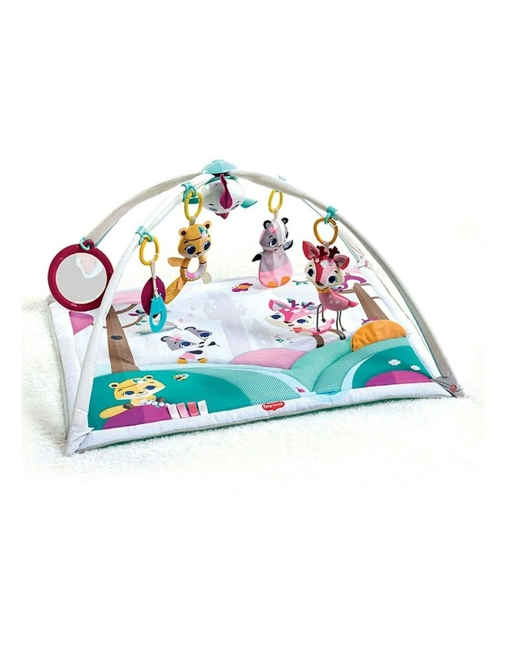 Tiny Princess Tales Gymini Deluxe image 1