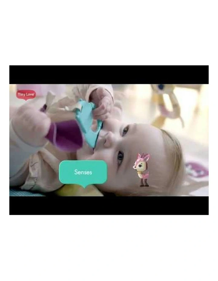 Tiny Princess Tales Gymini Deluxe image 4