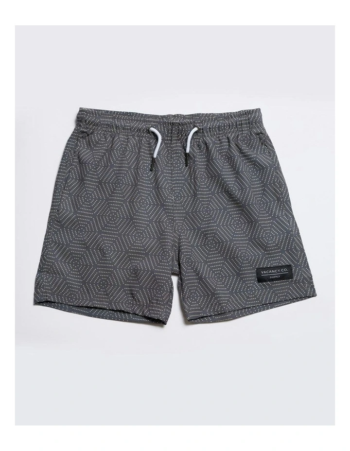 Aztek Swim Shorts in Grey image 1