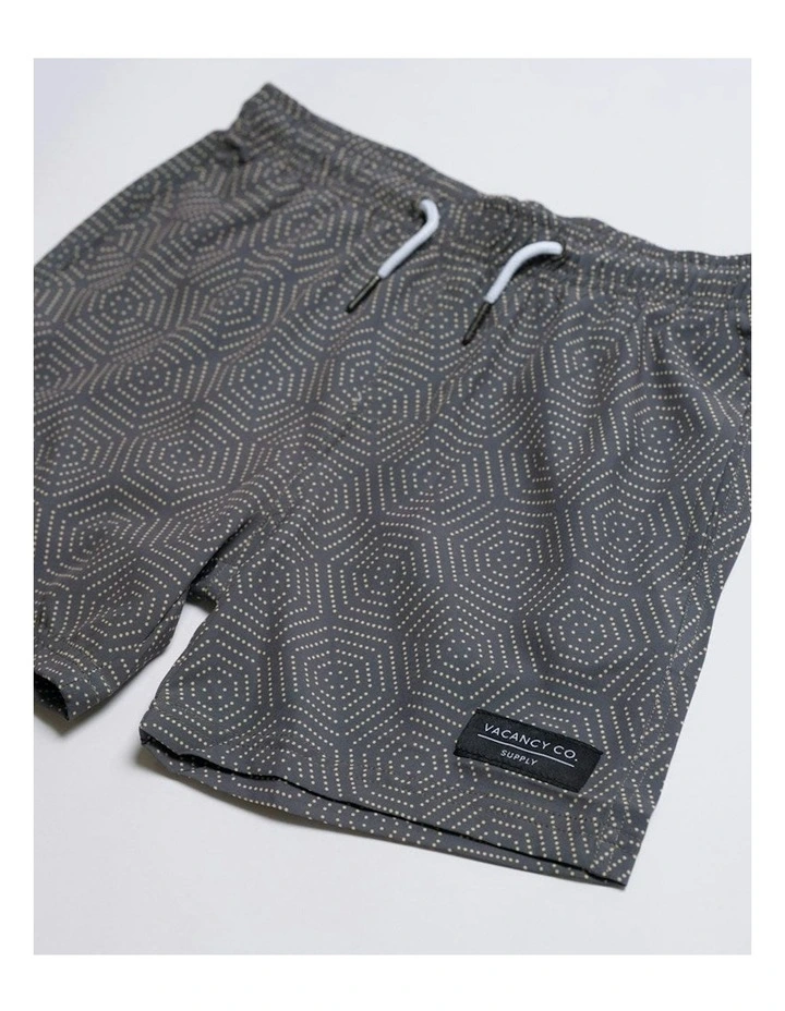 Aztek Swim Shorts in Grey image 3