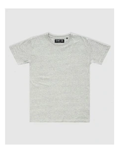 Devoid Premium Tee in Grey
