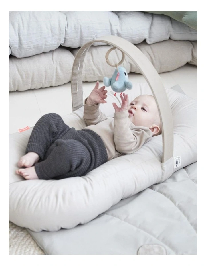 Cozy Lounger with Activity Arch image 2