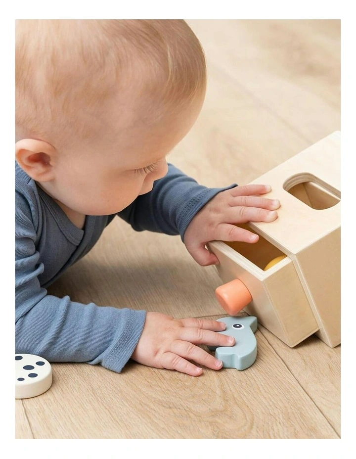 Hide And Find Box image 2