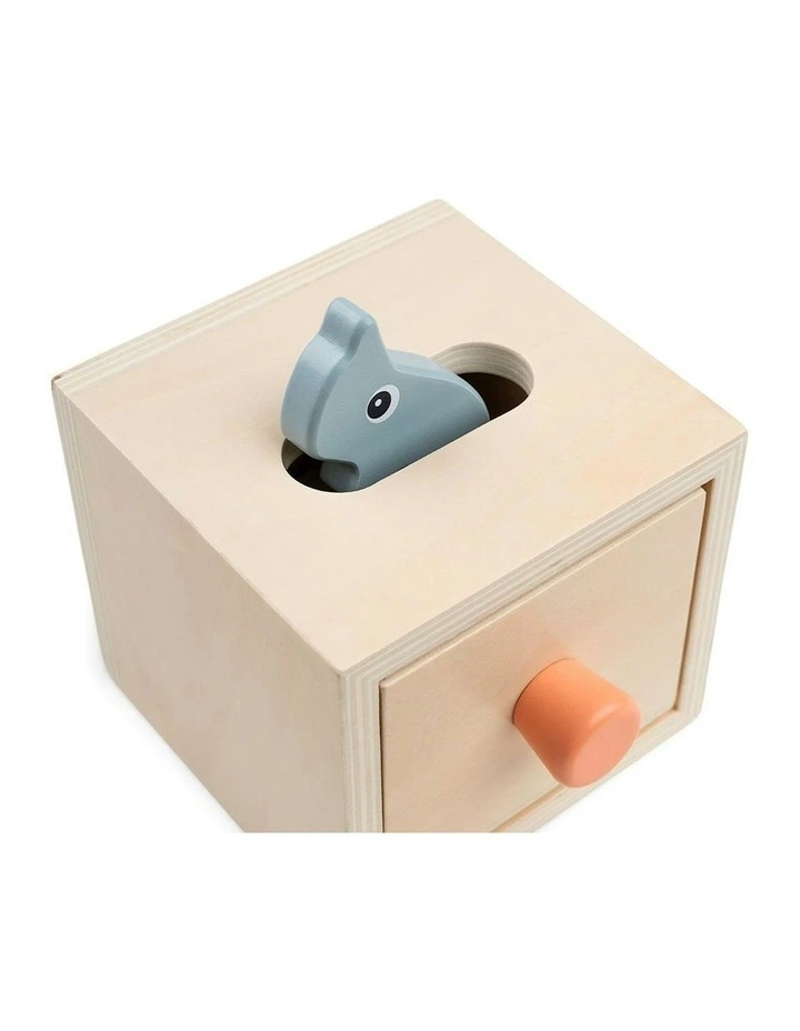 Hide And Find Box image 3