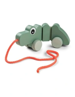 Pull Along Wiggle Toy