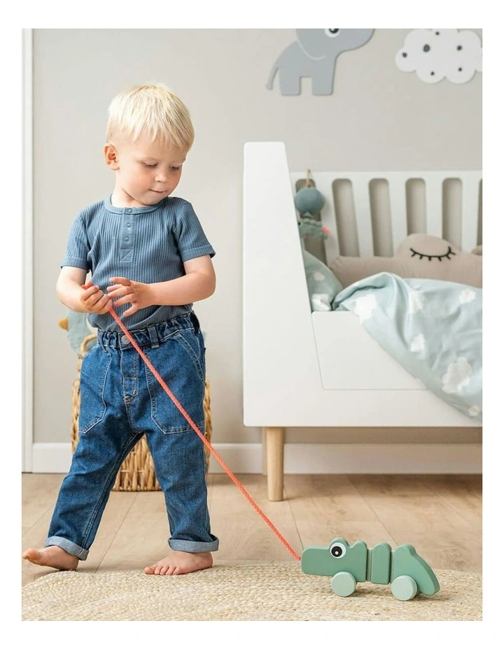 Pull Along Wiggle Toy image 2