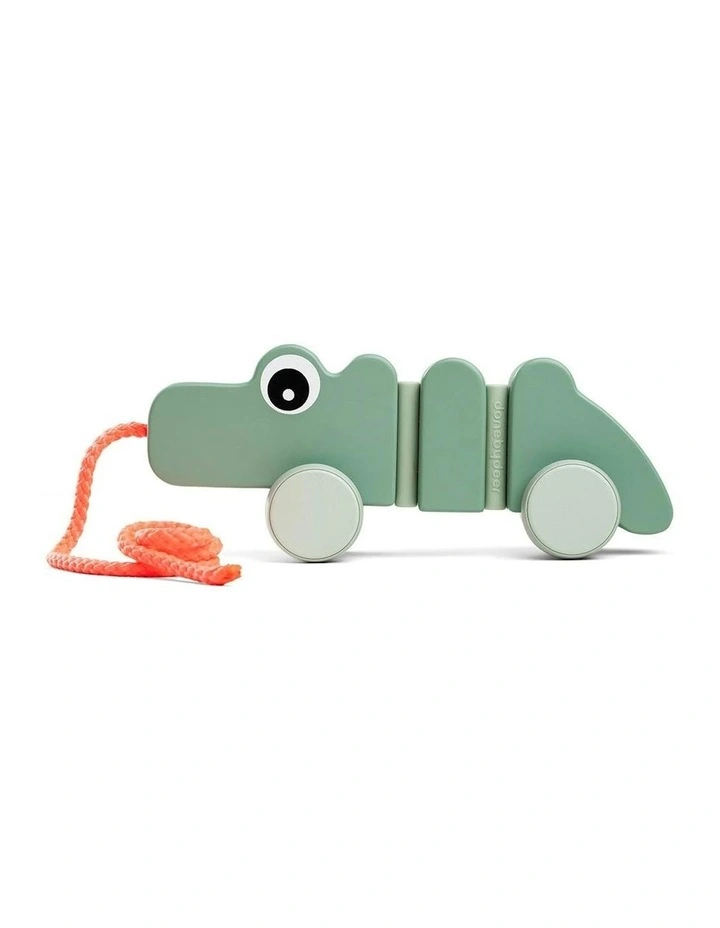 Pull Along Wiggle Toy image 3