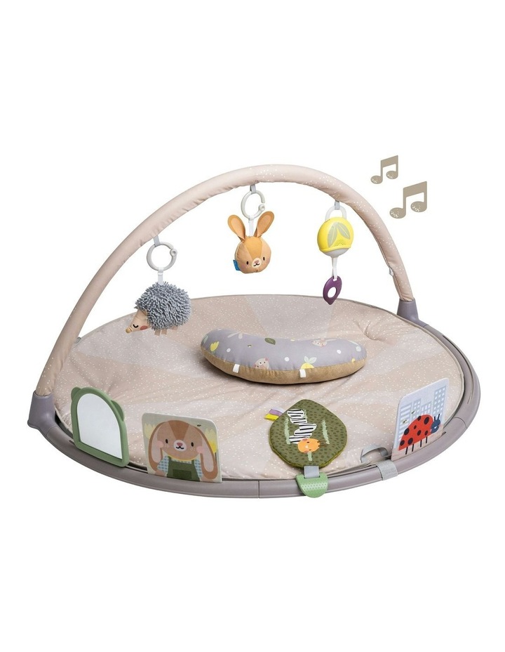Tummy Time Activity Gym #13395 0M+ Assorted