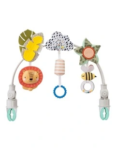 Savannah Adventure Arch in Multi