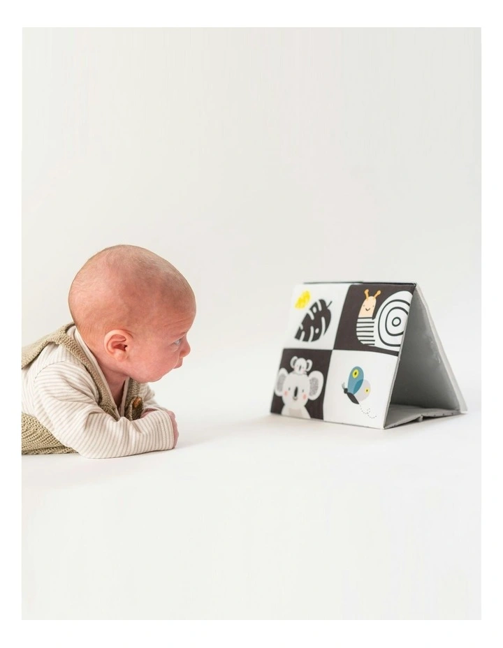 Tummy-Time Mirror Book image 3