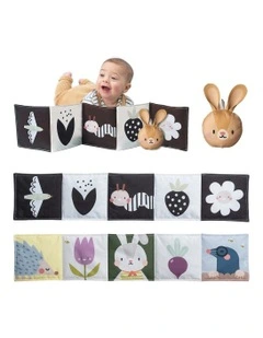 Bunny Pram Book And Toy Set