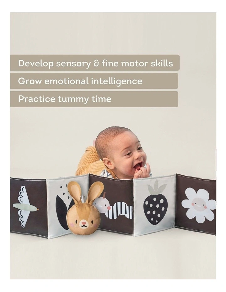 Bunny Pram Book And Toy Set image 4
