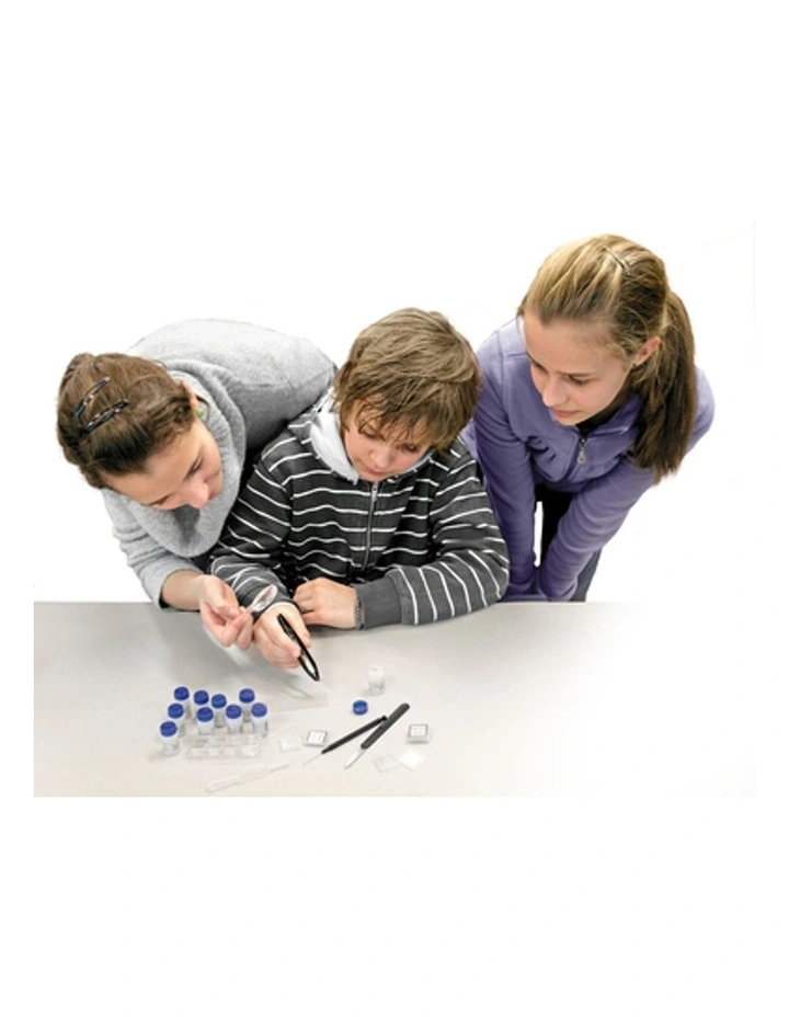Experiment Set image 3