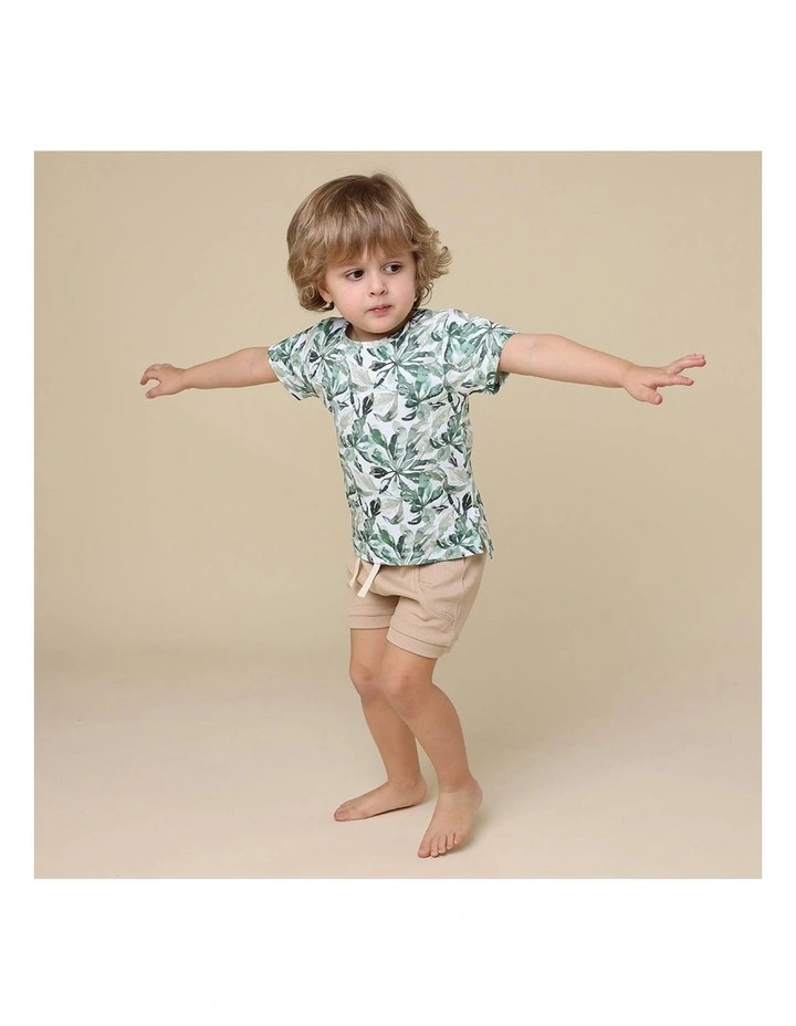 Evergreen Organic T-Shirt in Multi image 4