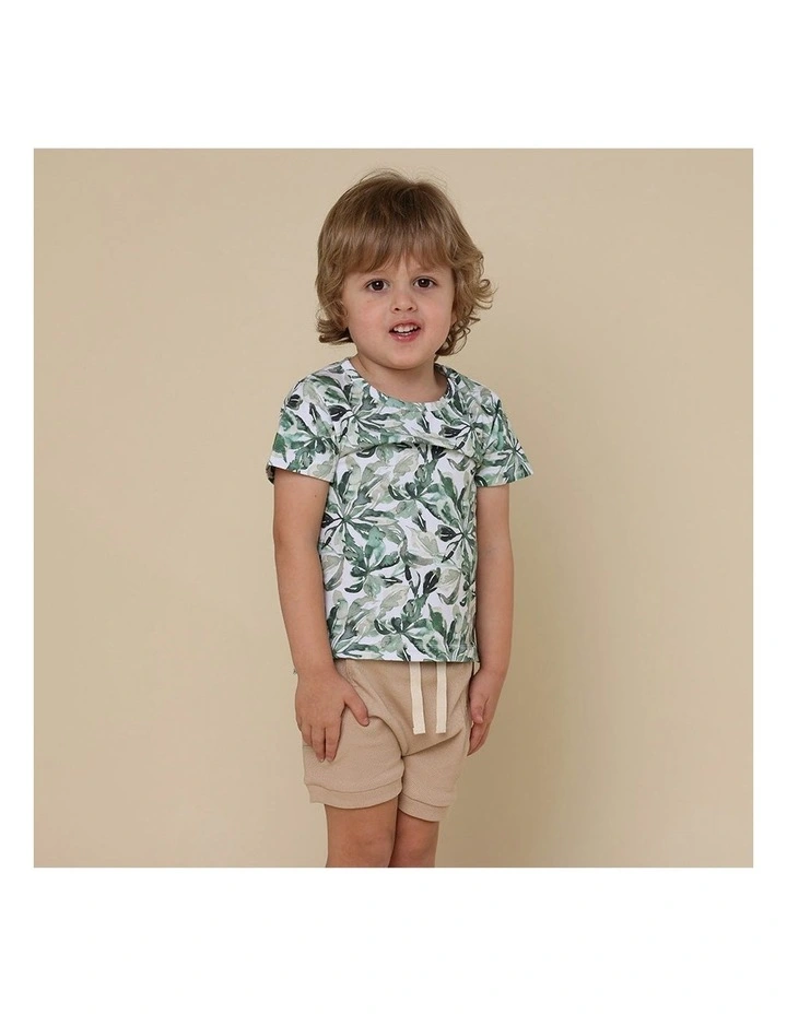 Evergreen Organic T-Shirt in Multi image 5