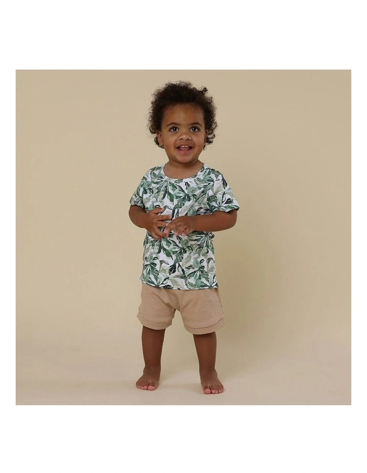 Evergreen Organic T-Shirt in Multi image 6