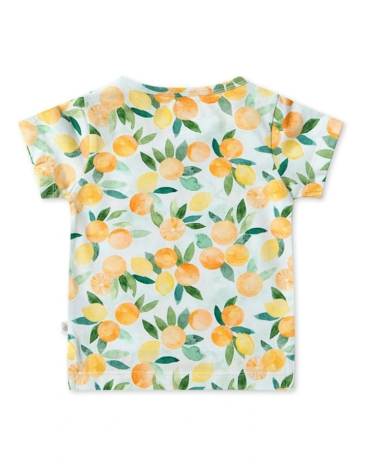 Citrus Squeeze Organic T-Shirt in Orange image 6