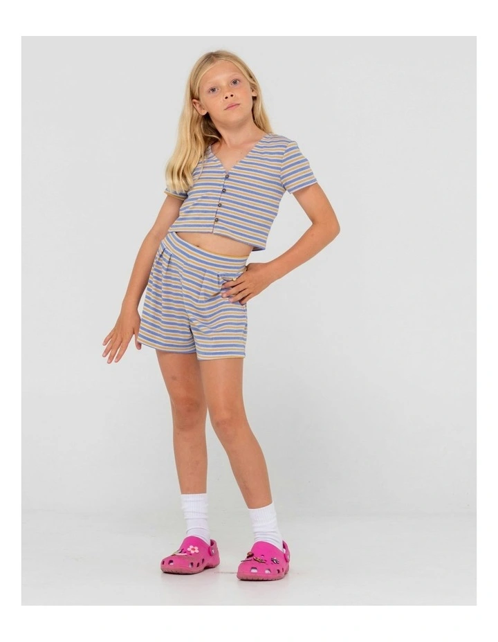 Camila Stripe Top in Blue image 5