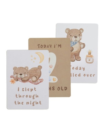 Cuddly Bear colour