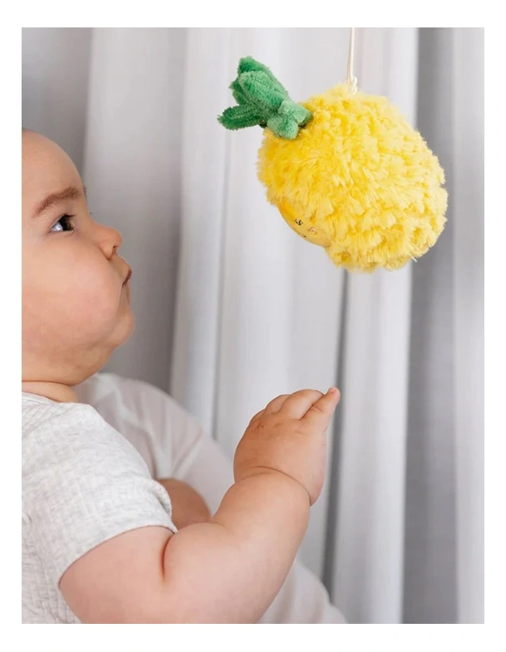 Mini Market Brunch Stroller 2 Pack image 3