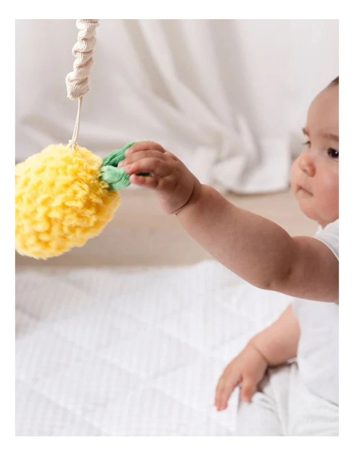 Mini Market Brunch Stroller 2 Pack image 4